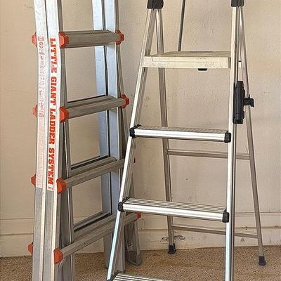 Little Giant And Cosco Ladders 