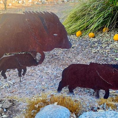 Three Little Javalinas 