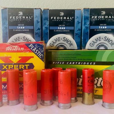 Bulk Ammo #2