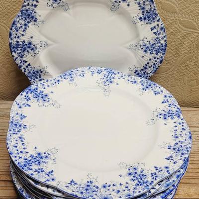 Shelley England Bone China Dainty Blue Dinner Plates 11 Pc