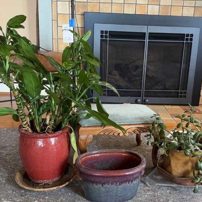 Pottery footstool & potted plants