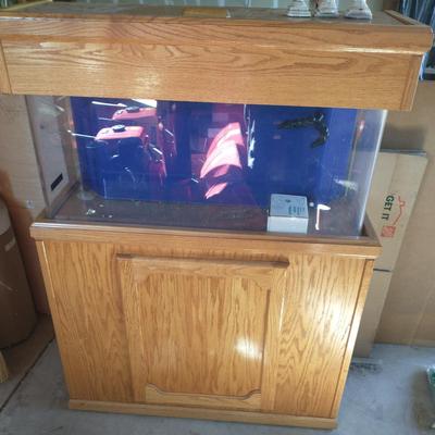 60 Gallon Acrylic Aquarium