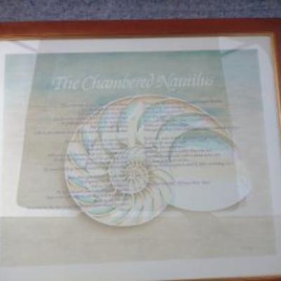 The Chambered Nautilus by Nick Johnson