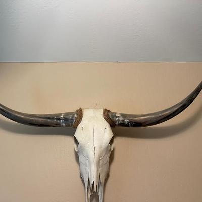 Cow head 