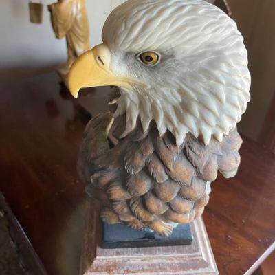 Bald eagle 