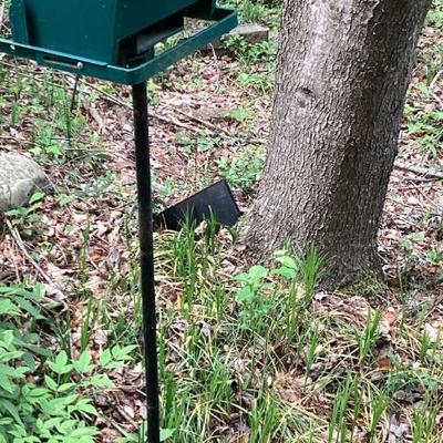 Bird feeder