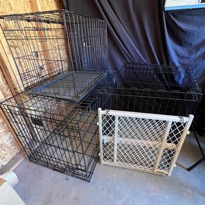 For Your Pet