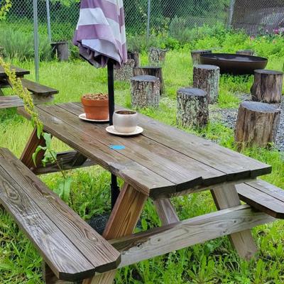 Picnic Table #1 with Umbrella