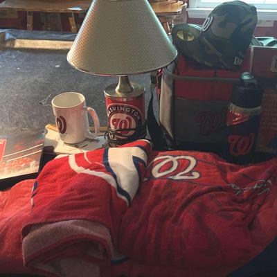 Assortment of Washington Nationals Memorabilia