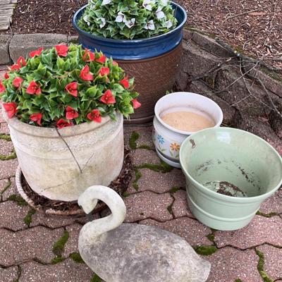 Assortment of Planters & More