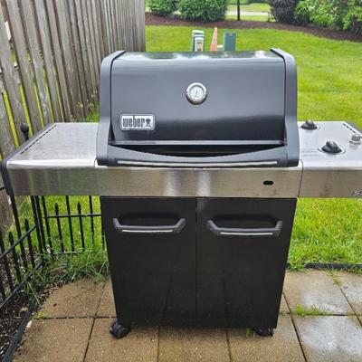 Weber Grill