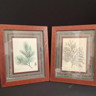 Pinecone And Decorative Art Prints Framed