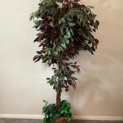 Faux Ficus Tree
