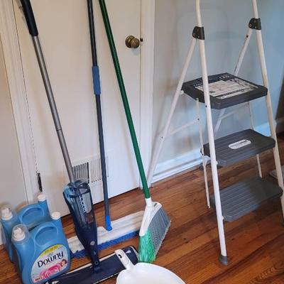 Cleaning Lot with New Costco 3 Step ladder