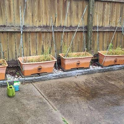 Planters And Garden Hose