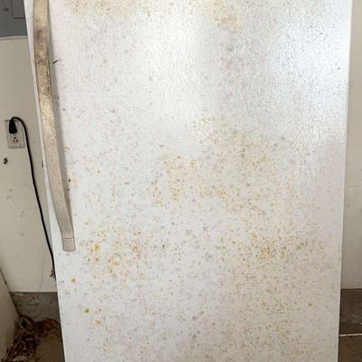 Kenmore "Frost Free Commercial" Upright Freezer