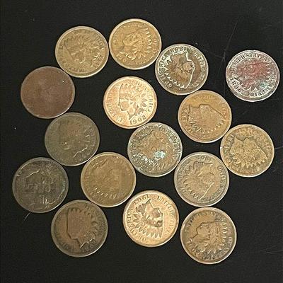 Indian Head Pennies (15)