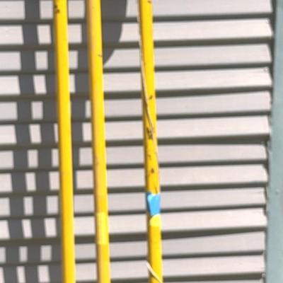 Pole Saw and additional poles 