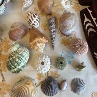 Sale Photo Thumbnail #356