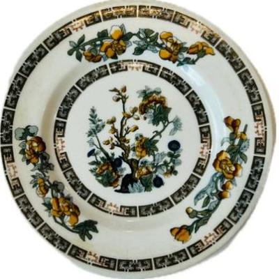 Syracuse Porcelain Plate - Indian Tree Pattern