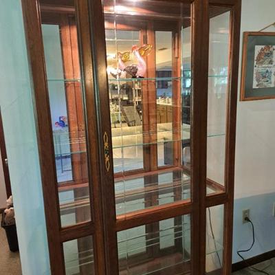 5 Shelf Curio