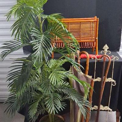 Faux Plants, Wooden Cane's, And More