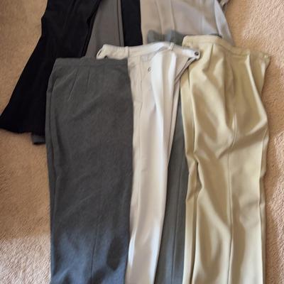 AWT061- Lot Women’s High-End Dress Pants (10)
