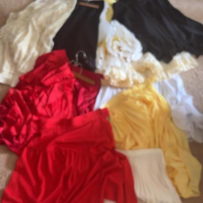 AWT041 Large Lot Women’s Skirts  