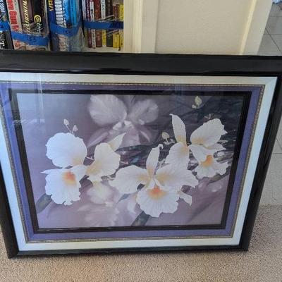 AWT200 - White Orchids Art Print