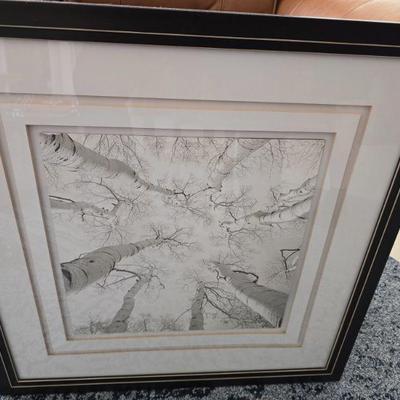 Sale Photo Thumbnail #32