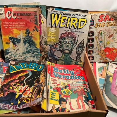 Vintage Comic Book Lot – MAD, Archie, Anthro & More