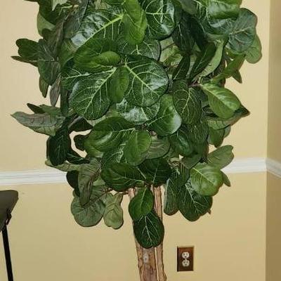 Artificial Fig Tree in Jaye's Studio Lion's Head Coated Metal Cachepot 