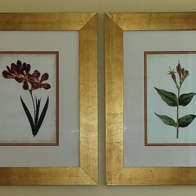 (2) Framed And Matted Floral Prints 23.5" X 28"