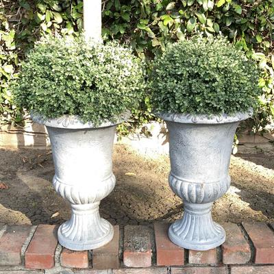 Artificial Plants & Vases 
