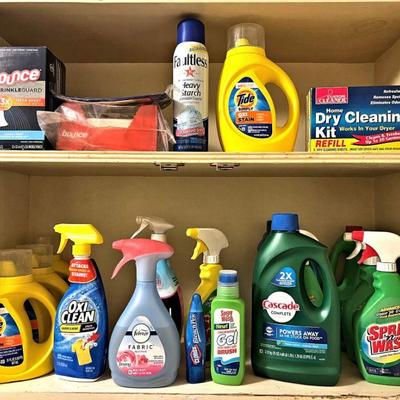 Lots of household cleaning supplies, etc.