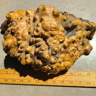 Large 13" Natural Wood Burl -- Found Art Object (Or Make Into Burled Slices)