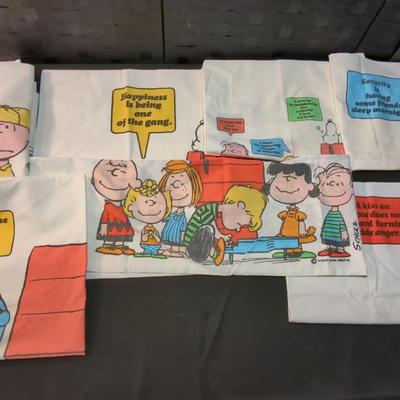 Peanuts Gang Pillow Cases (6) With Thought Bubbles And twin Sized Flat Sheet 