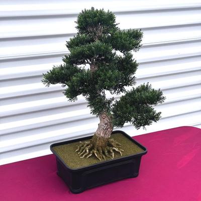 16” Faux Bonsai Tree in Black Pot | Decorative Artificial Plant