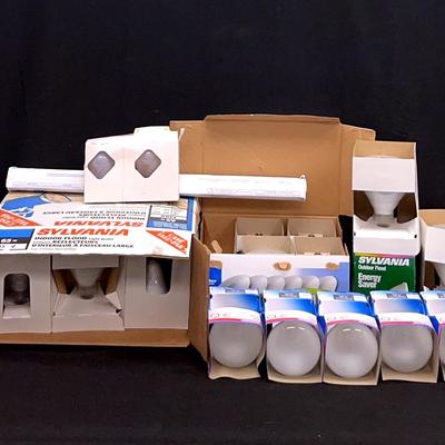 Flood Light Bulbs
