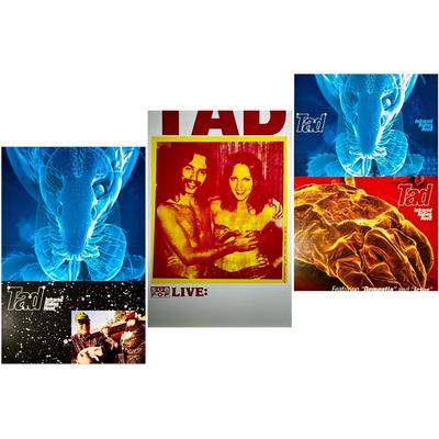 TAD Posters 