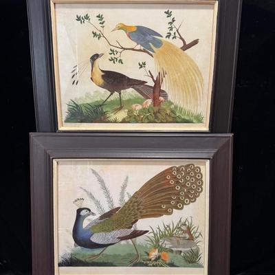 Prints - Birds By Porter Design 