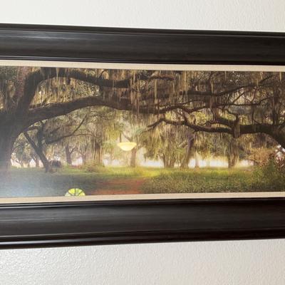 Southern Landscape Charm Photo Art
