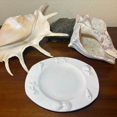 Huge Seashells & Coral w/ Seashell Trinket Dish