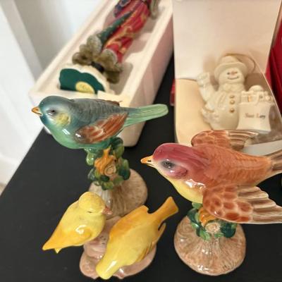 Birds itlay