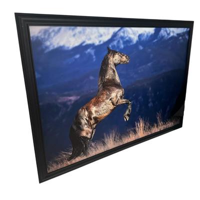 Sale Photo Thumbnail #303: Wild Mustang Large framed photo 65" x 45' 
