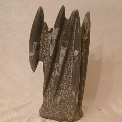 Orthoceras Fossil Tower