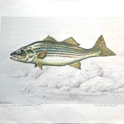 "The Rockfish" by Frank Burt Smoot