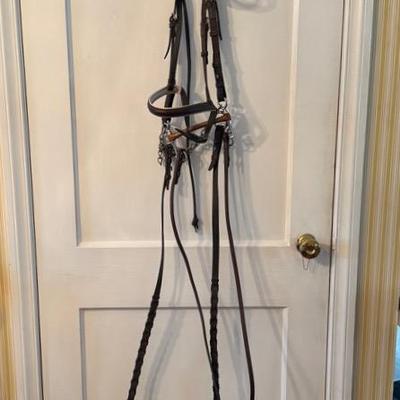 Bridle With Bit And Leading Rein