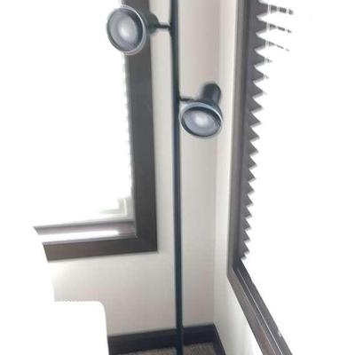 Floor Lamp with 3 Adjustable Lights 
