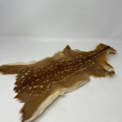 Vintage Animal Pelt